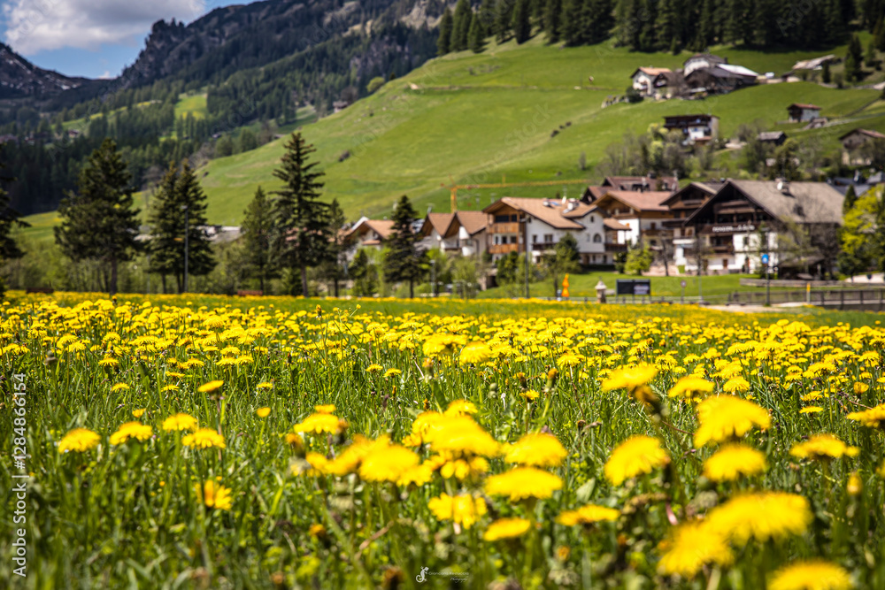 Beautiful summer alpine landscape in the heart of the Dolomites - Corvara in Badia (Trentino - Italy)
Beautiful summer alpine landscape in the heart of the Dolomites - Corvara in Badia (Trentino - Italy)