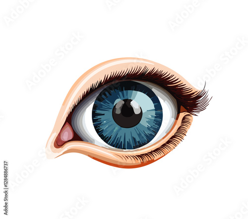 Eye ball