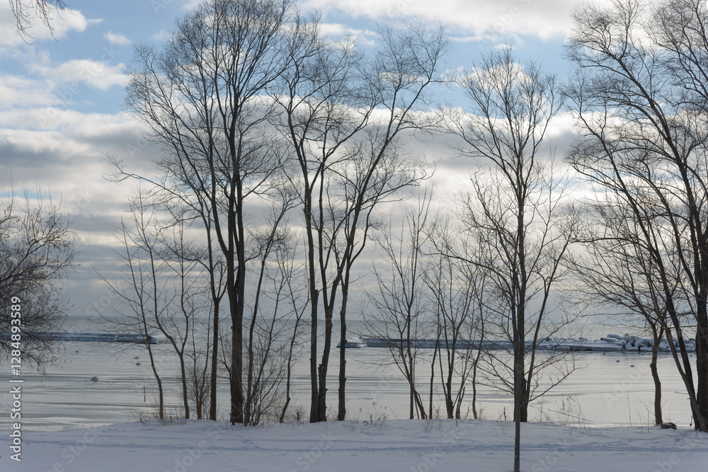 trees in silhouette on a cloudy blue sky and frozen lake in winter