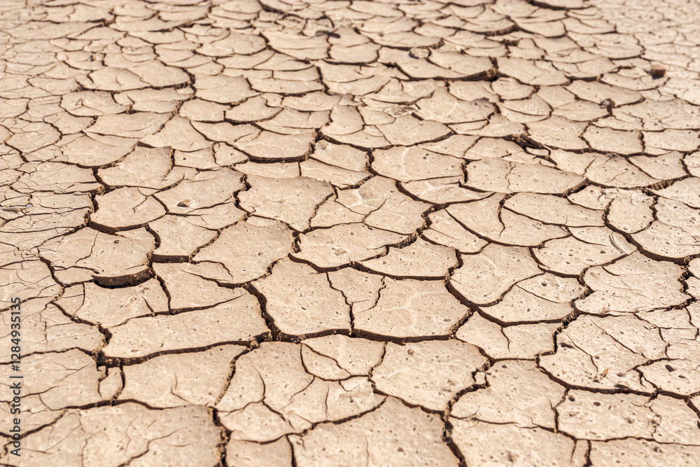 Cracked Dry Earth Texture Background, Natural Drought Pattern in Desert Climate, Environmental Crisis Abstract Landscape Photography Cracked Dry Earth Texture Background, Natural Drought Pattern in Desert Climate, Environmental Crisis Abstract Landscape Photography