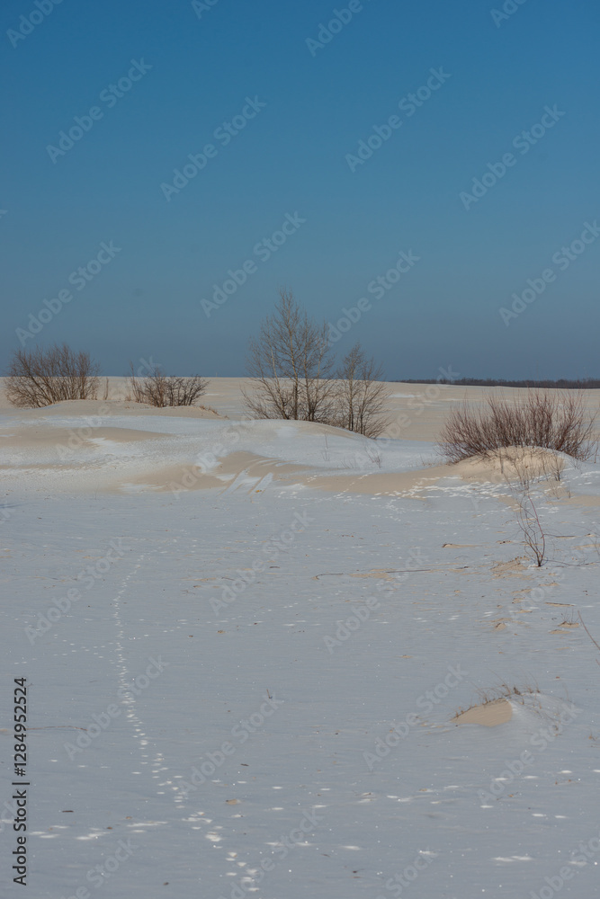 Sand quarry in th Vilnohirsk , Ukraine. Winter landscape on the sand quarry ,sun rays on the sy , beautiful colors on the picture . Path on the sand . Road and trees with lights of the sun . Trees Sand quarry in th Vilnohirsk , Ukraine. Winter landscape on the sand quarry ,sun rays on the sy , beautiful colors on the picture . Path on the sand . Road and trees with lights of the sun . Trees