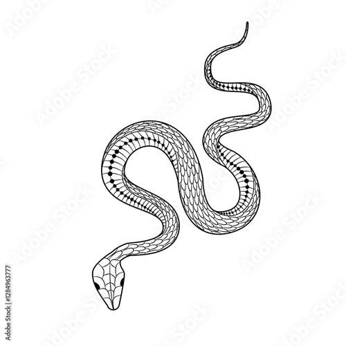 Elegant and whimsical silhouette of a snake intertwining in a graceful dance of doodles and patterns