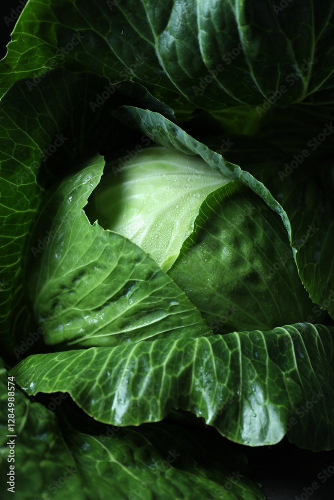 Obraz premium Whole ripe head of cabbage as background, closeup
