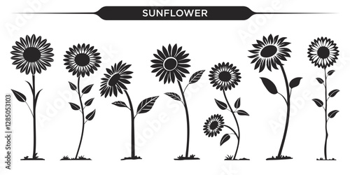 Vector illustration of sunflower silhouettes