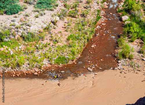 The Confluence of Bright Angel Creek and the Colorado River Near Phantom Ranch, Grand Canyon National Park, Arizona, USA
