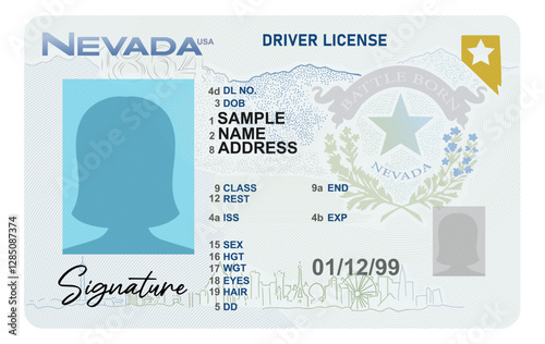 Nevada driver's license with female silhouette isolated on white background. Person State ID .