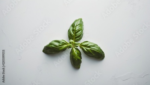 Fresh basil leaves arranged singly on a plain white backdrop. photo