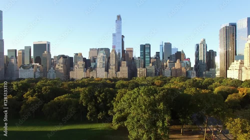 Experience a Stunning Skyline View, Framed by the Lushness of Central Park in the Foreground Experience a Stunning Skyline View, Framed by the Lushness of Central Park in the Foreground