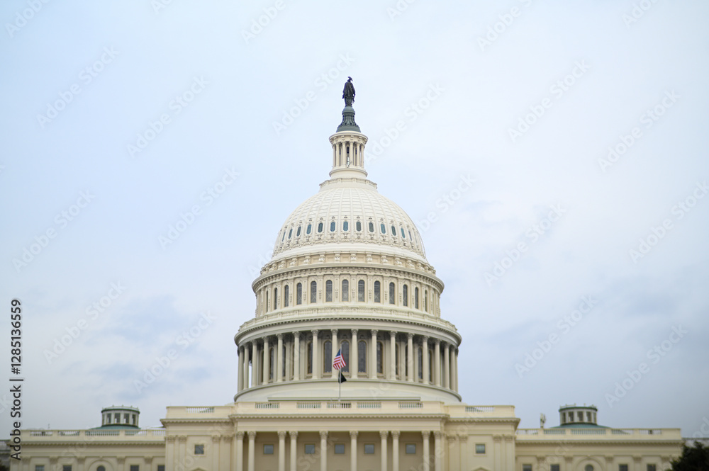 Fototapeta premium United States Congress Dome.