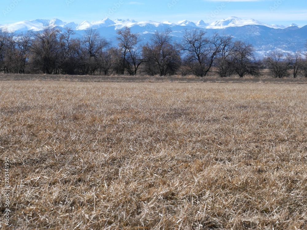 Early spring prairie and Rocky Mountains, Boulder, Colorado