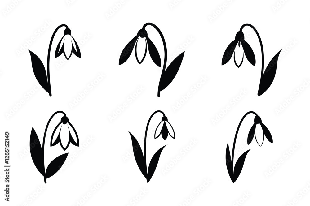 Snowdrop (Galanthus spp.) silhouette vector illustration