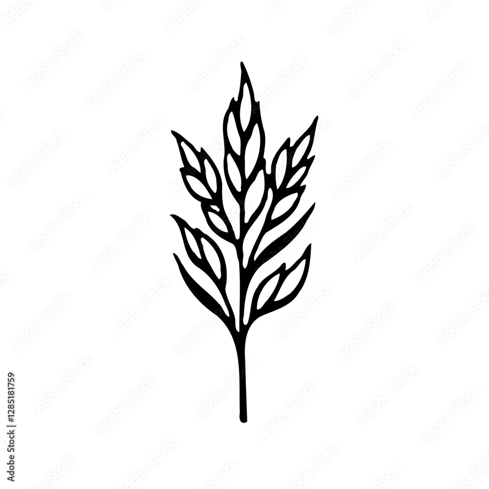 Fototapeta premium Elegant Botanical Vector Line Art Illustration
