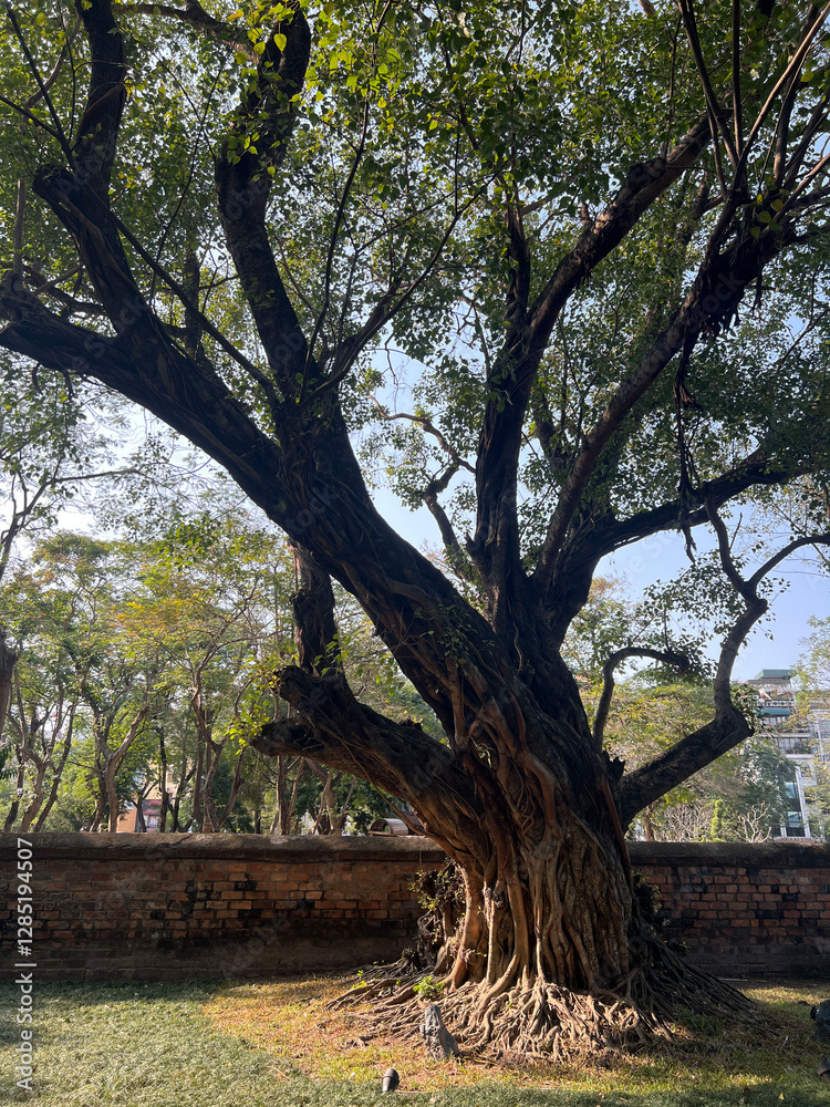 Temple of Literature in Hanoi,