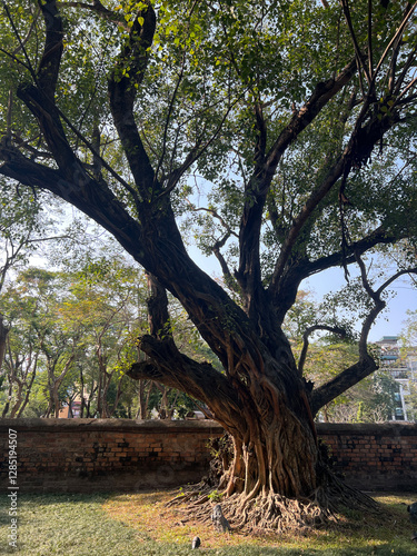 Temple of Literature in Hanoi,