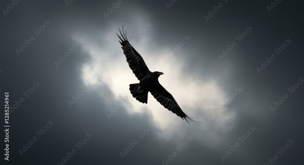 Obraz premium Raven Soaring Against a Dramatic Sky: Symbol of Freedom and Mystery