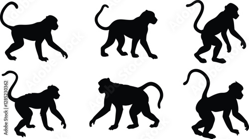 Collection of money silhouette vector illustration