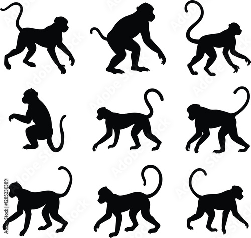 Collection of money silhouette vector illustration
