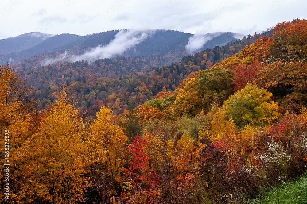 autumn landscape in the mountains autumn landscape in the mountains