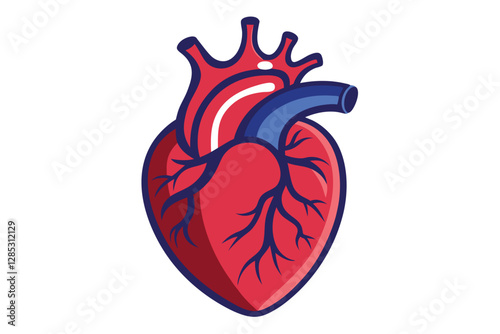 Human Heart Anatomically Correct Hand Drawn Line Art and Dot work. Flash Tattoo or Print Design Vector Illustration.