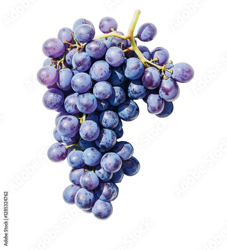 Wallpaper Mural "A Cluster of Purple Grapes: A close-up shot captures the vibrant freshness of a cluster of plump, juicy purple grapes, inviting a moment of pure, simple delight. Torontodigital.ca