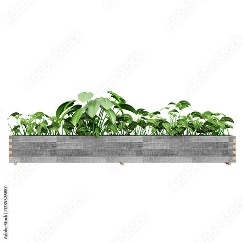 collection of Green beautiful plants in vase isolated Canvas