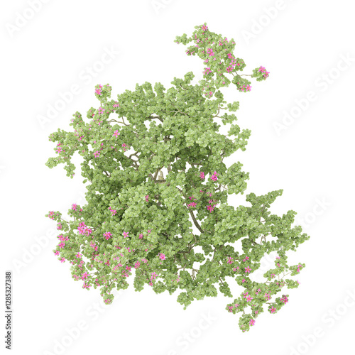collection of sheena's gold tree with realistic style from top view