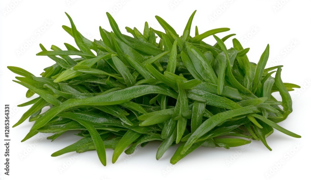 Close up view of a pile of vibrant green seaweed, glistening with moisture, set against a clean white background Close up view of a pile of vibrant green seaweed, glistening with moisture, set against a clean white background