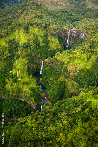 Aerial View of Umauma Falls Cascading Waterfalls in Lush Hawaiian Rainforest, Big Island Hawaii photo