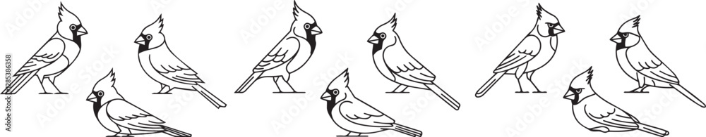 Fototapeta premium set off silhouette line art cardinal birds vector illustration