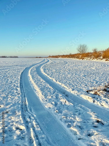 Car tracks on snow covered field by the coast of North sea in Greifswald,Germany.