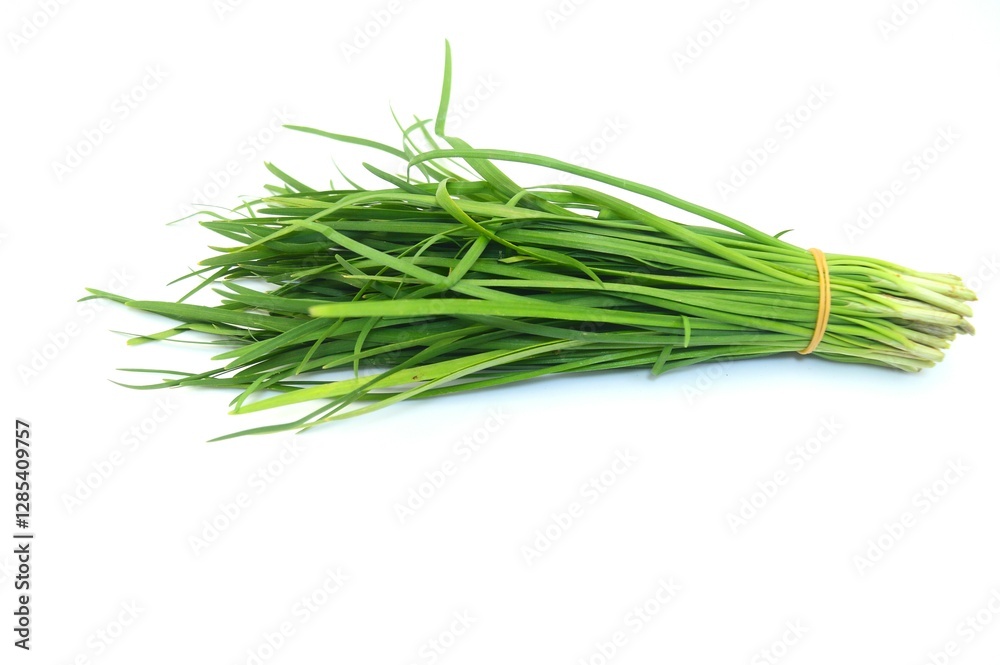 Chives on a white background. Fresh Chinese Chive leaves on white background. Chives on a white background. Fresh Chinese Chive leaves on white background.