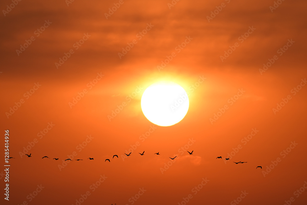 Obraz premium sunset over the sea