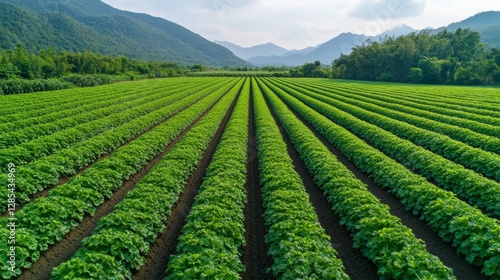 Green Agriculture Artificial Intelligence Generation Illustration