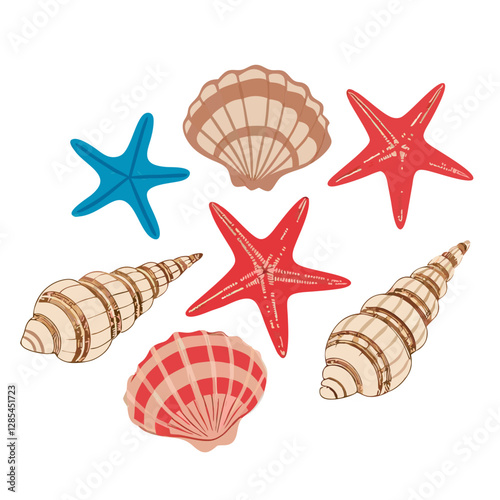 Cute seashells  the sea in white  vector  illustration