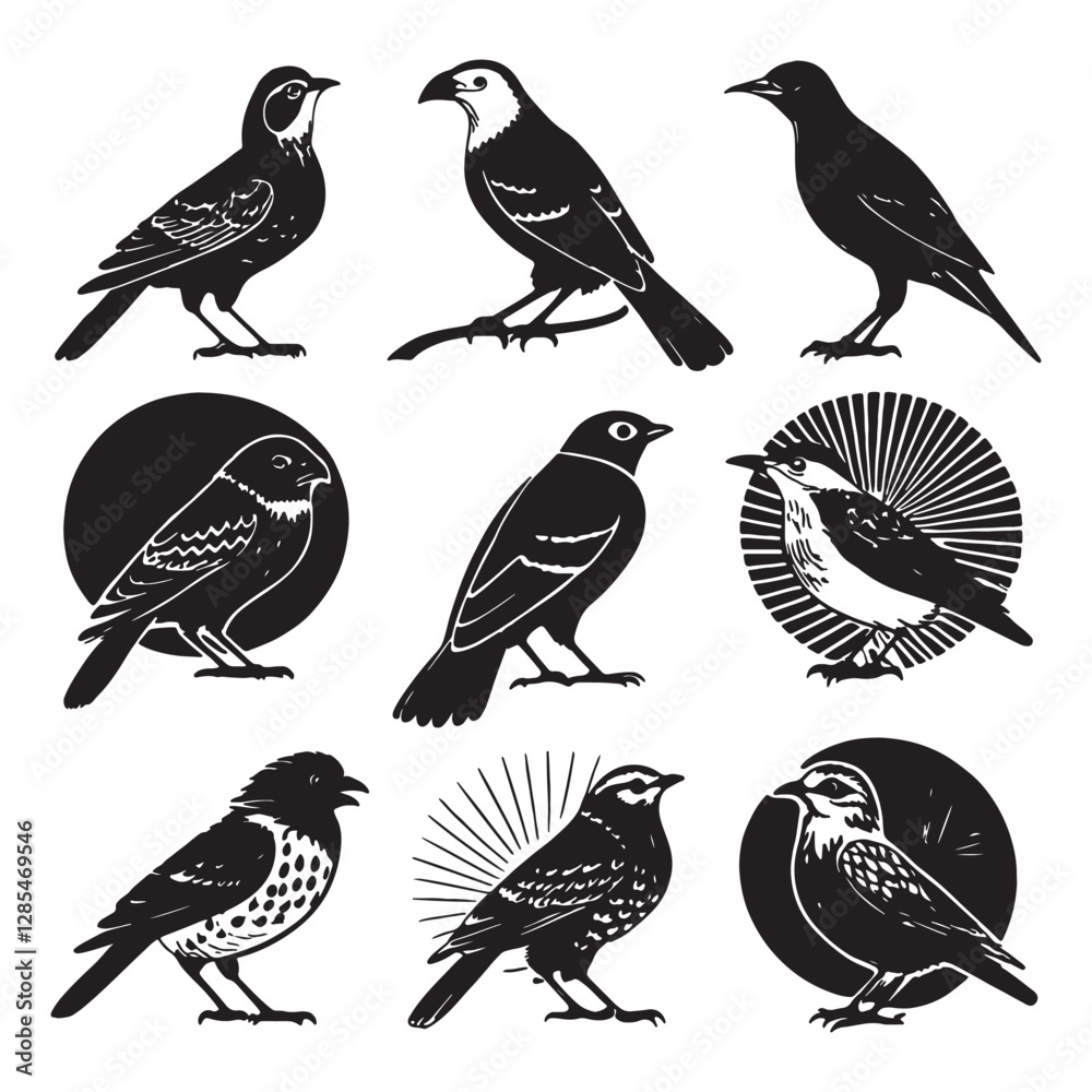 Obraz premium collection of birds