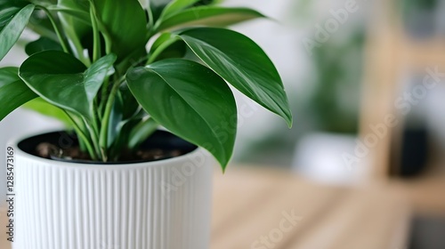 Indoor Plant with Lush Green Leaves in Modern Stylish Pot on Wooden Table : Generative AI