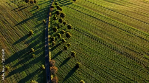 The Aerial View of Landscape