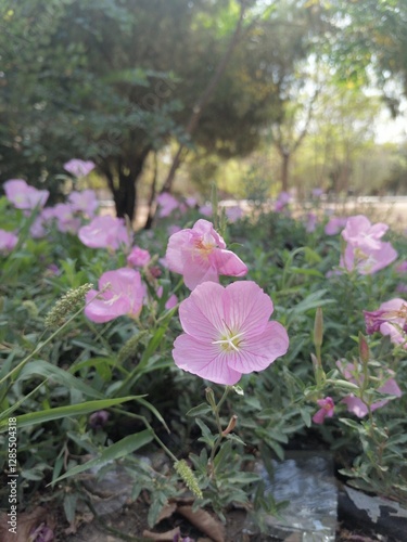Delicate Pink Blooms in Natural Serenity