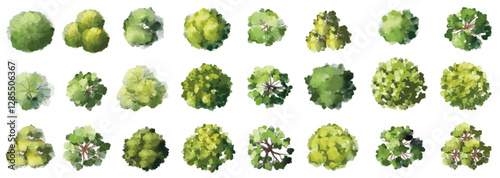 Vector watercolor green tree or forest top view isolated on white background for landscape plan and architecture drawing,plant for environment or garden,botanical element for exterior layout