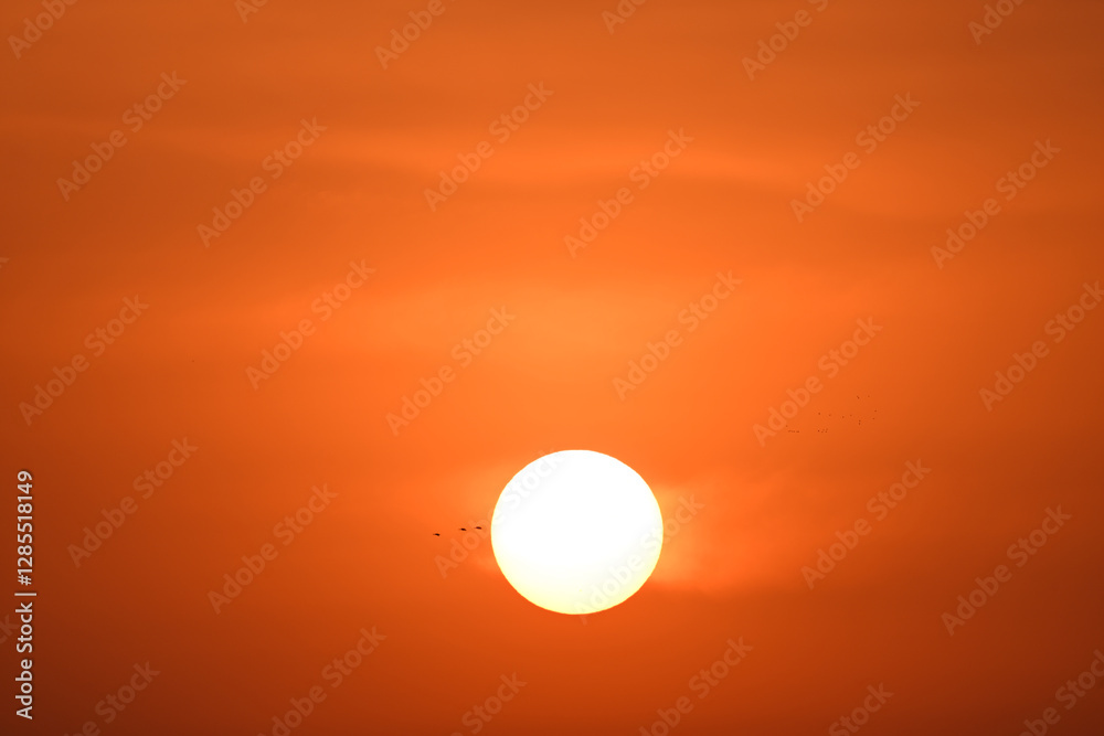 sunset in the sky sunset in the sky