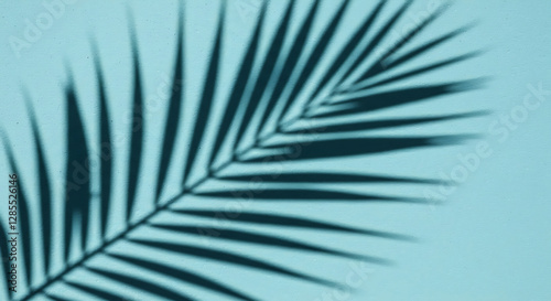Serene Teal Palm Leaf Shadow on a Wall: A Minimalist Tropical Image