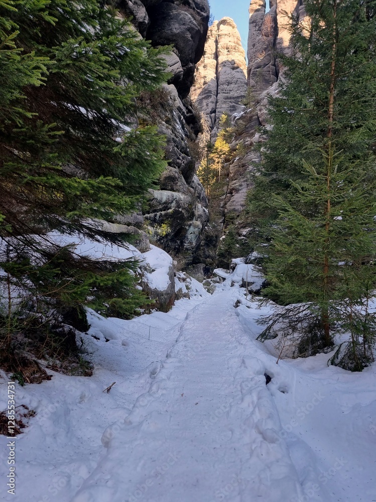 Adrspach-Teplice Rocks in winter