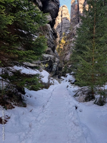 Obraz na płótnie Adrspach-Teplice Rocks in winter w salonie