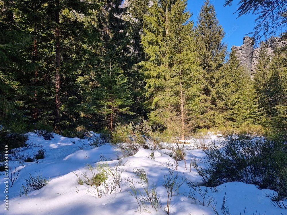 Adrspach-Teplice Rocks in winter