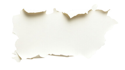 Torn paper edges texture on blank white page, vintage background for design 