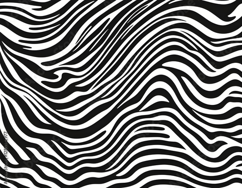 Vector striped pattern. Black-white background. Stylized Zebra pattern, isolated vector illustration  background photo