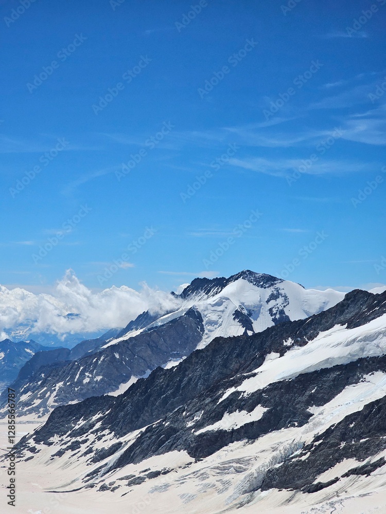 A stunning summer view of Jungfrau, one of Switzerland's most iconic peaks. The photo showcases the lush green meadows and vibrant alpine flowers at the base of the towering snow-capped mountain. The A stunning summer view of Jungfrau, one of Switzerland's most iconic peaks. The photo showcases the lush green meadows and vibrant alpine flowers at the base of the towering snow-capped mountain. The
