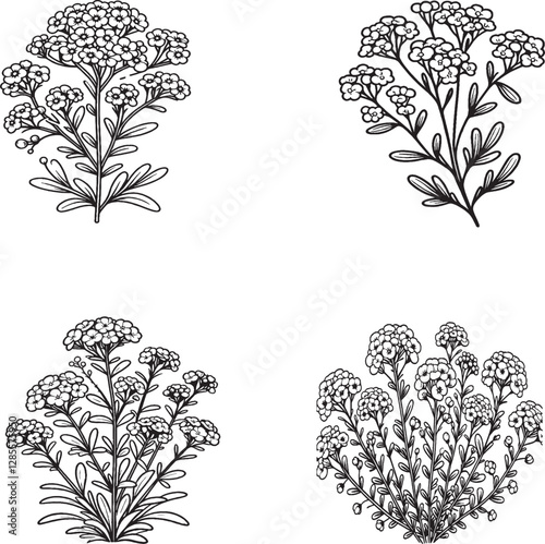 Black and White Flowering Plant Illustrations - Elegant Botanical Line Art Designs"