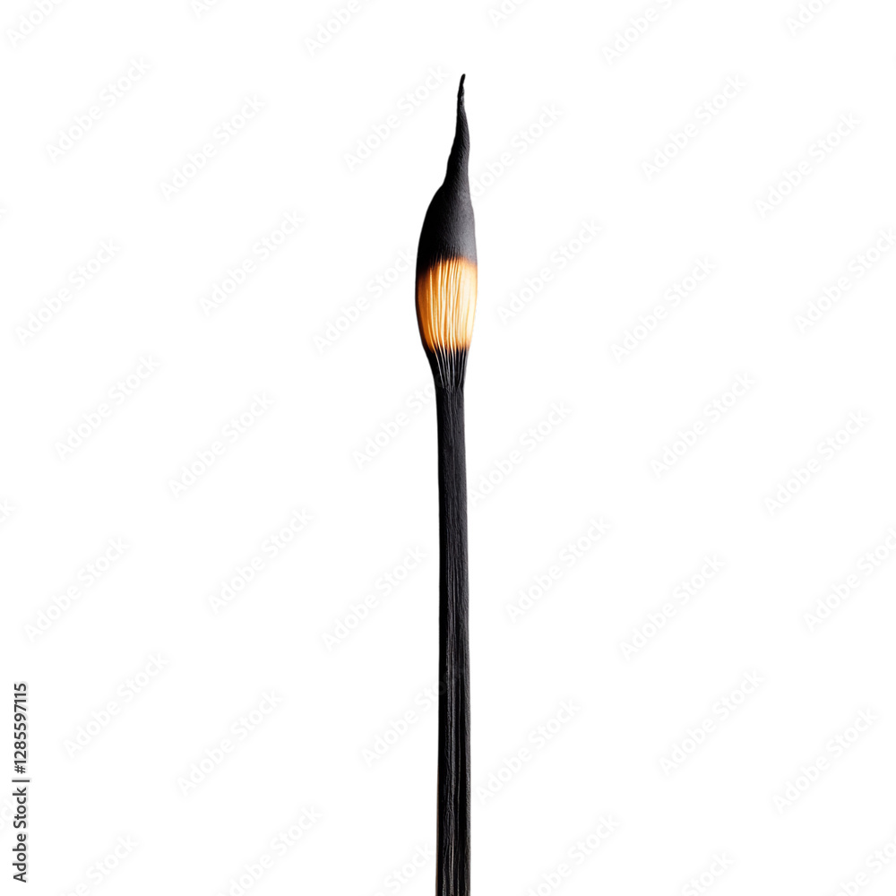Lit Matchstick Producing a Subtle Steady Flame Isolated on Transparent Background Lit Matchstick Producing a Subtle Steady Flame Isolated on Transparent Background