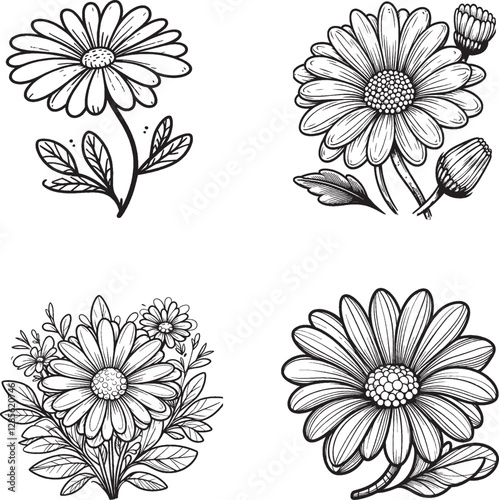 Set of Hand-Drawn Daisy Flower Illustrations - Black and White Botanical Stock Art